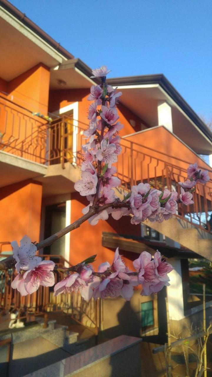 Apartment Zita With 1 Bedroom In Relaxing Surroundings Near Umag Exterior foto